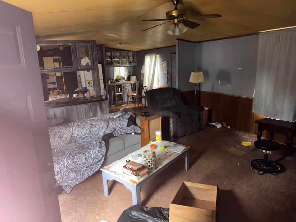 Living room before a home cleanout